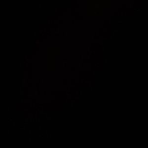 Meet your Posher, Nicholas